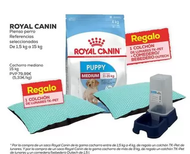 Oferta de Royal Canin - Pienso Perro  por 79,99€ en Kiwoko