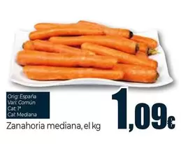 Oferta de Zanahoria Mediana por 1,09€ en Unide Supermercados