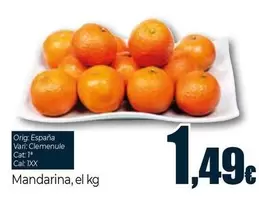 Oferta de Mandarina por 1,49€ en Unide Supermercados