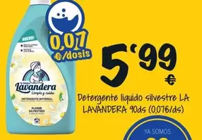 Oferta de Universal - Detergente Liquido Silvestre por 5,99€ en Cash Fresh