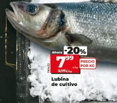 Oferta de Lubina De Cultivo por 7,99€ en Dia