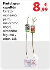 Oferta de Cerezo - Frutal Gran Cepellon por 8,99€ en Alcampo