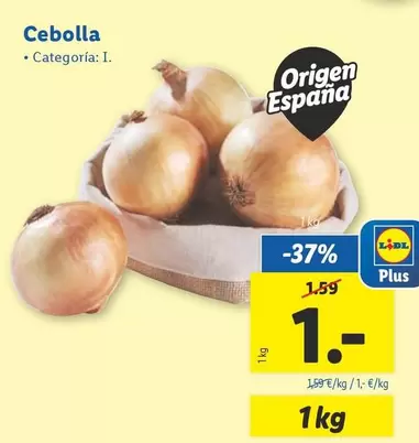 Oferta de Cebolla por 1€ en Lidl