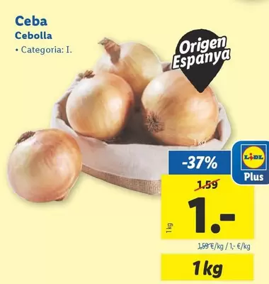 Oferta de Ceba por 1€ en Lidl