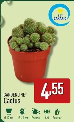 Oferta de Gardenline - Cactus por 4,55€ en ALDI