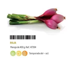 Oferta de Roja en Makro