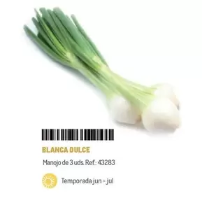 Oferta de Blanca Dulce en Makro