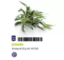 Oferta de Chef select - Estrragon en Makro