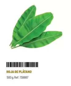 Oferta de Hoja De Platano en Makro