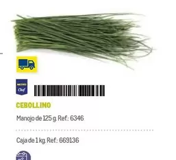 Oferta de Chef - Cebollino en Makro