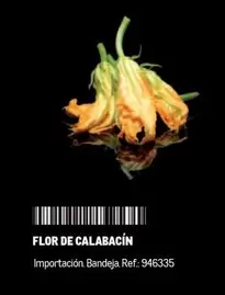 Oferta de Flor -  De Calabacin en Makro