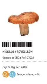 Oferta de Níscalo / Rovellón en Makro