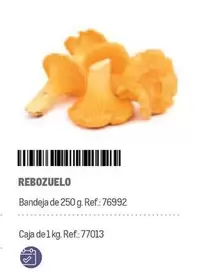 Oferta de Rebozuelo en Makro