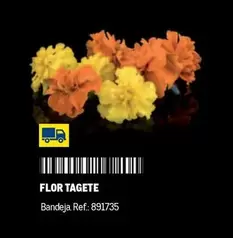 Oferta de Flor -  Tagete en Makro