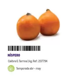 Oferta de Níspero en Makro