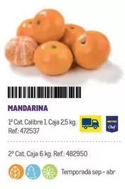 Oferta de Chef - Mandarina en Makro