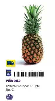 Oferta de Piña Gold en Makro