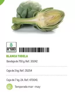 Oferta de Tudela - Blanca en Makro