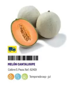 Oferta de Melon Cantaloupe en Makro