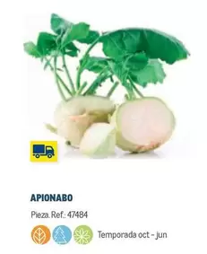 Oferta de Apionabo en Makro