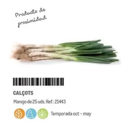 Oferta de Calçots en Makro