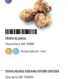 Oferta de Trufa Blanca en Makro