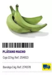 Oferta de Platano Macho en Makro