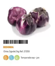 Oferta de Redonda en Makro