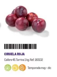 Oferta de Ciruela Roja en Makro