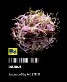 Oferta de Col Roja en Makro