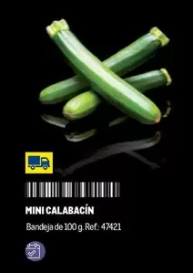 Oferta de Mini Calabacin en Makro