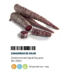 Oferta de Zanahorias De Color en Makro