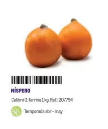 Oferta de Níspero en Makro