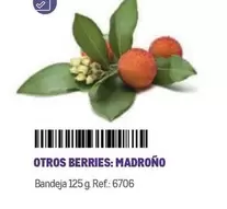 Oferta de Otros Berries: Madroño en Makro