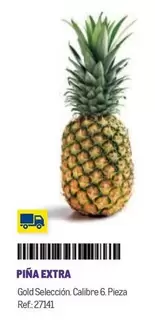 Oferta de Piña Extra en Makro