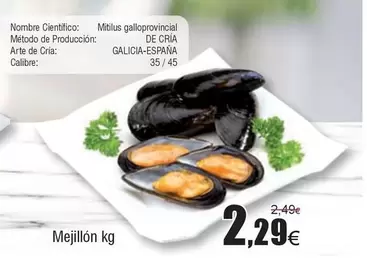 Oferta de Mejillón por 2,29€ en Froiz