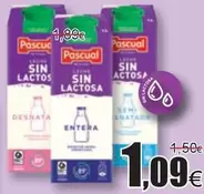 Oferta de Pascual - Sin Lactosa por 1,09€ en Froiz