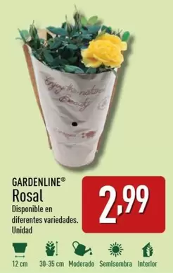 Oferta de Gardenline - Rosal por 2,99€ en ALDI