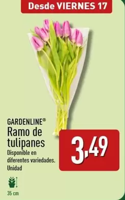 Oferta de Gardenline - Ramo De Tulipanes por 3,49€ en ALDI