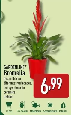 Oferta de Gardenline - Bromelia por 6,99€ en ALDI