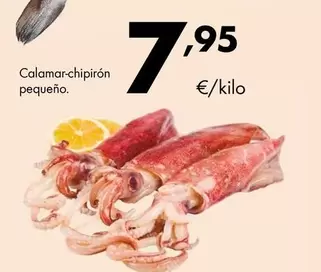 Oferta de Calamar-Chipirón Pequeno por 7,95€ en Supermercados Lupa