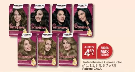 Oferta de Palette - Tinte Intensive Creme Color en Consum