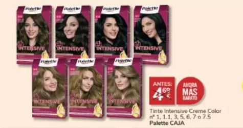 Oferta de Palette - Tinte Intensive Creme Color por 3€ en Consum