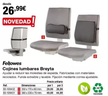 Oferta de Fellowes - Cojines Lumbares Breyta en Staples Kalamazoo