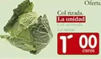 Oferta de Col Rizada  por 1€ en Supermercados Bip Bip