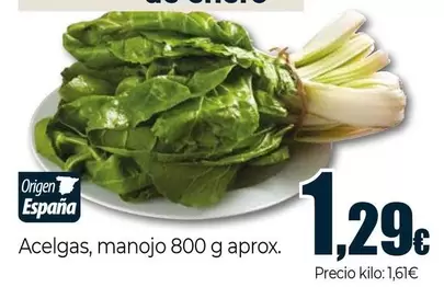 Oferta de Acelgas, Manojo por 1,29€ en Unide Supermercados