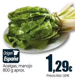 Oferta de Acelgas/ Manojo por 1,29€ en Unide Supermercados