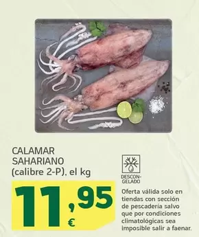 Oferta de Calamar Sahariano por 11,95€ en HiperDino