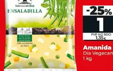 Oferta de Dia Vegecampo - Ensaladilla por 1€ en Dia