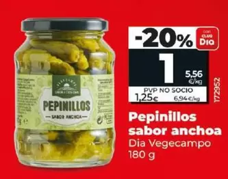 Oferta de Dia Vegecampo - Pepinillos Sabor Anchoa por 1€ en Dia